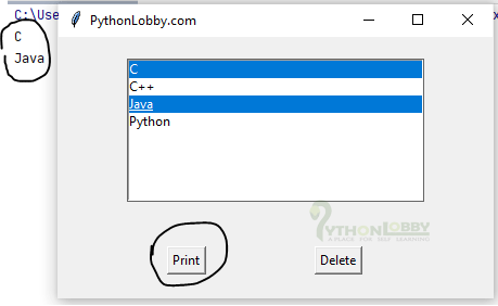 listbox example in tkinter